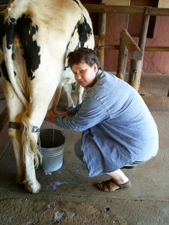 Celebrate fresh milk...